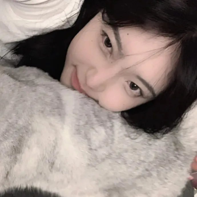 猫王传奇