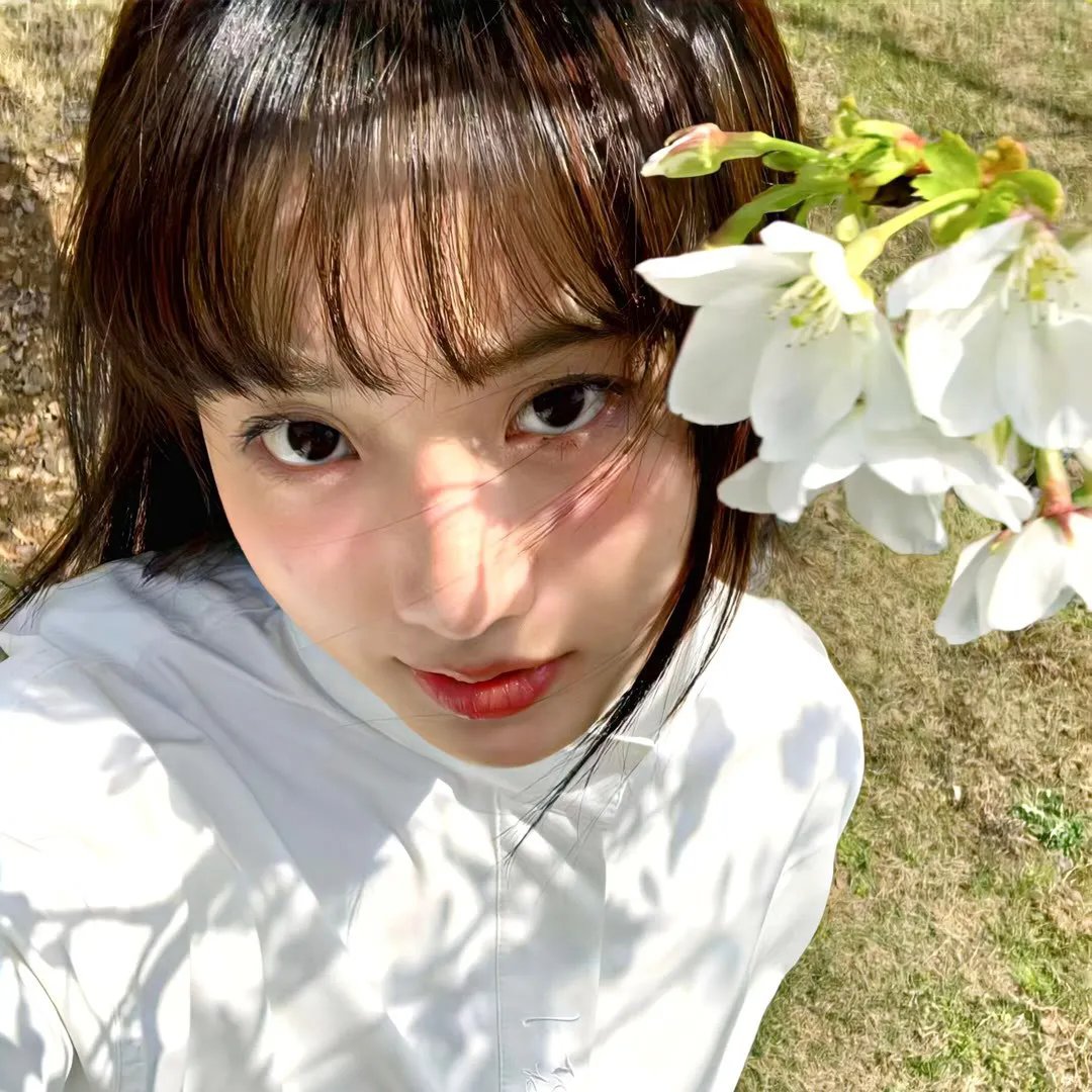 太道虚人